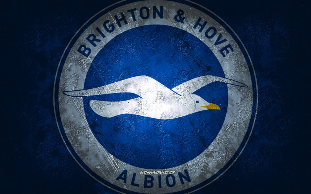 Brighton & Hove Albion F.C. 2025 - Erin Odessa