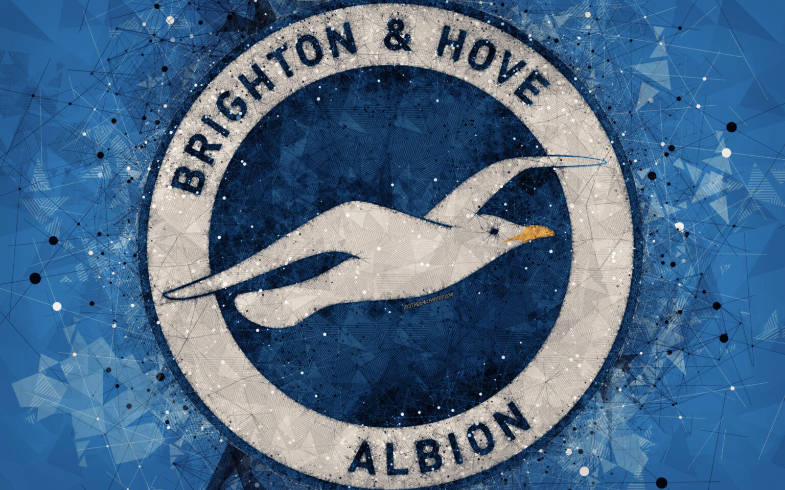 FC Football emblem FC Football emblem